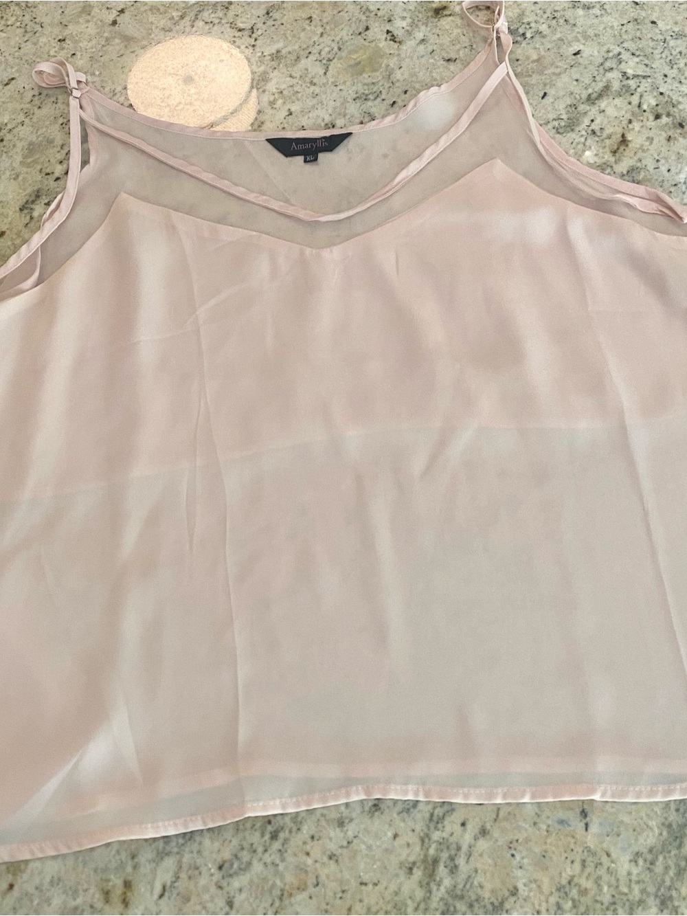 Amaryllis Blush Sheer V-Neck Camisole